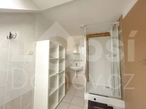 Prodej ubytování, Zlaté Hory, 330 m2