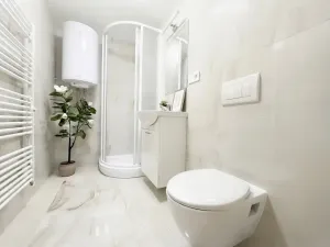 Prodej bytu 3+kk, Brno, Štolcova, 49 m2