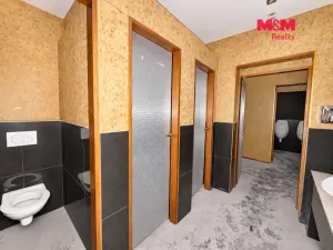 Pronájem obchodního prostoru, Jesenice, Budějovická, 237 m2