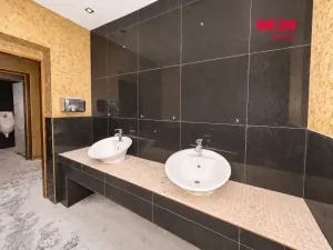 Pronájem obchodního prostoru, Jesenice, Budějovická, 237 m2