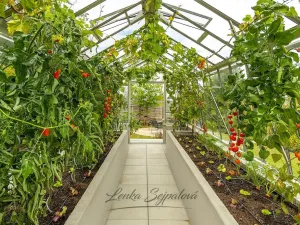 Prodej rodinného domu, Rabštejnská Lhota - Rabštejn, 160 m2
