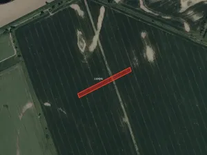 Prodej louky, Petrov, 12437 m2