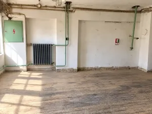 Pronájem skladu, Olomouc, Lazecká, 195 m2