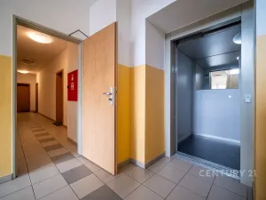 Prodej bytu 2+kk, České Budějovice - České Budějovice 5, Dobrovodská, 42 m2