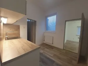 Pronájem výrobních prostor, Bílovice nad Svitavou, Obřanská, 249 m2