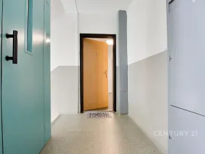 Prodej podílu bytu 3+1, Děčín, Kosmonautů, 79 m2