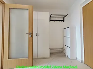 Pronájem bytu 1+kk, Praha - Žižkov, Olšanská, 40 m2