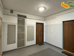Pronájem bytu 1+1, Ostrava, Klegova, 40 m2
