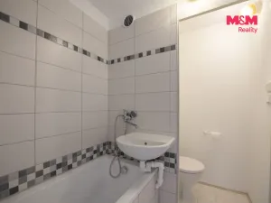 Pronájem bytu 1+1, Hradec Králové - Moravské Předměstí, Sezemická, 33 m2