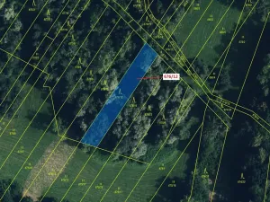 Dražba lesa, Přerov, 1145 m2