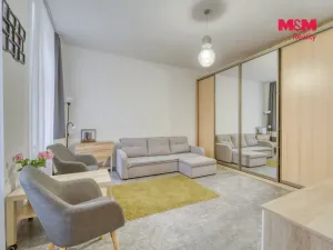 Prodej bytu 1+kk, Plzeň - Východní Předměstí, Plzenecká, 30 m2