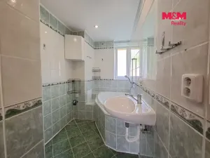 Pronájem bytu 2+1, Ostrov, Luční, 55 m2