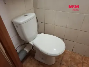 Pronájem bytu 2+1, Ostrov, Luční, 55 m2