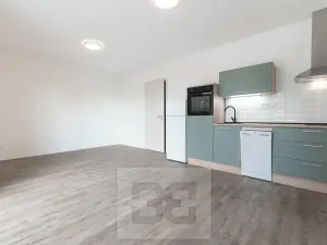 Pronájem bytu 1+kk, Plzeň, Na Průhonu, 37 m2