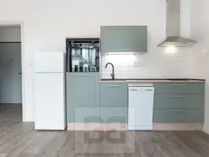 Pronájem bytu 1+kk, Plzeň, Na Průhonu, 37 m2