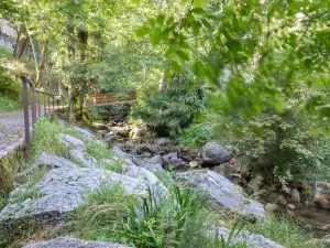 Pronájem bytu 1+1, Minusio, Švýcarsko, 30 m2