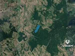 Prodej podílu lesa, Javorník, 8512 m2