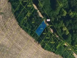 Dražba lesa, Horní Dunajovice, 151 m2