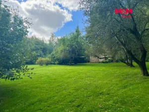 Prodej zemědělské usedlosti, Kostelec nad Černými lesy - Kostelec nad Černými Lesy, 750 m2