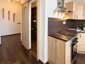 Prodej bytu 2+1, Brno, Za školou, 63 m2