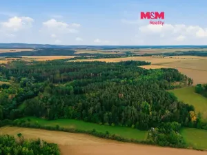 Prodej lesa, Břežany, 3520 m2