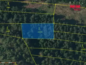 Prodej lesa, Břežany, 3520 m2