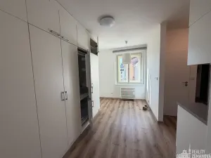 Pronájem bytu 1+1, Praha - Vinohrady, Řipská, 40 m2