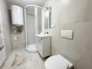 Prodej bytu 3+kk, Brno, 29 m2