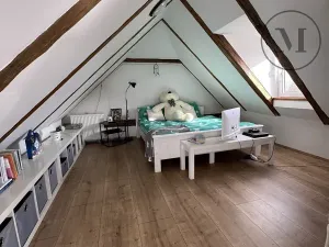 Prodej rodinného domu, Nová Ves, 480 m2