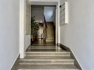 Pronájem obchodního prostoru, Ostrava - Mariánské Hory, Korunní, 30 m2