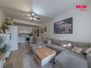 Prodej bytu 2+1, Havířov - Podlesí, 17. listopadu, 53 m2