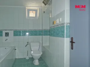 Pronájem bytu 2+1, Chotusice, 66 m2
