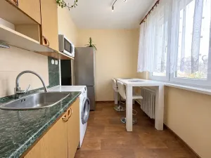 Prodej bytu 1+1, Valdice, 32 m2