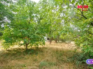 Prodej pozemku pro bydlení, Družec, 2828 m2