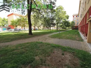 Prodej skladu, Plzeň, Francouzská třída, 39 m2