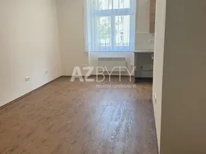 Pronájem bytu 1+kk, Praha - Bubeneč, Jaselská, 29 m2
