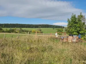 Prodej komerčního pozemku, Velká Hleďsebe, K Malé Hleďsebi, 28305 m2