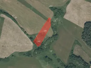 Prodej louky, Pačejov, 4740 m2