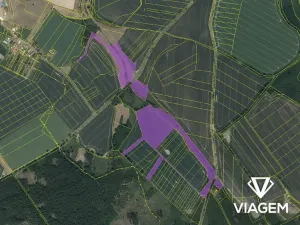 Prodej podílu pole, Golčův Jeníkov, 2951 m2