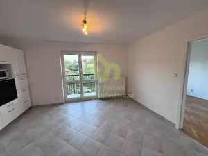 Pronájem bytu 3+kk, Plzeň, Zahradní, 56 m2