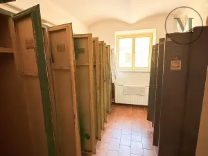 Pronájem komerční nemovitosti, Netolice, Mírové Náměstí, 500 m2