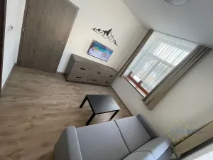 Prodej bytu 2+1, Loučná pod Klínovcem, 43 m2