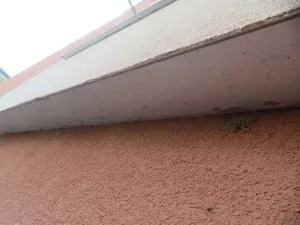 Dražba bytu 3+1, Kraslice, Čs. armády, 69 m2