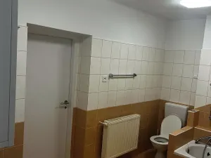 Prodej bytu 3+1, Javorník, Družstevní, 88 m2