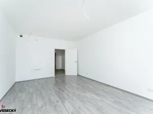 Prodej bytu 1+kk, Plzeň, Železná, 37 m2
