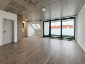 Pronájem bytu 1+kk, České Budějovice, Štítného, 44 m2