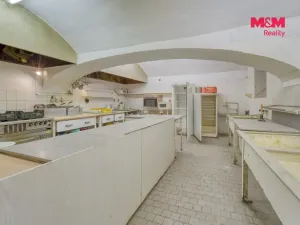 Pronájem restaurace, Plzeň - Východní Předměstí, Sladkovského, 170 m2