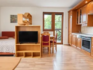 Prodej bytu 1+kk, Železná Ruda, Belvederská, 33 m2