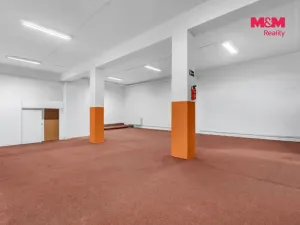 Pronájem obchodního prostoru, Bystřice nad Pernštejnem, Zahradní, 498 m2