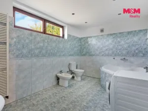 Prodej rodinného domu, Dlouhý Most, 372 m2